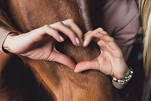 PersönlichkeitsTest für dein Pferd -digital-